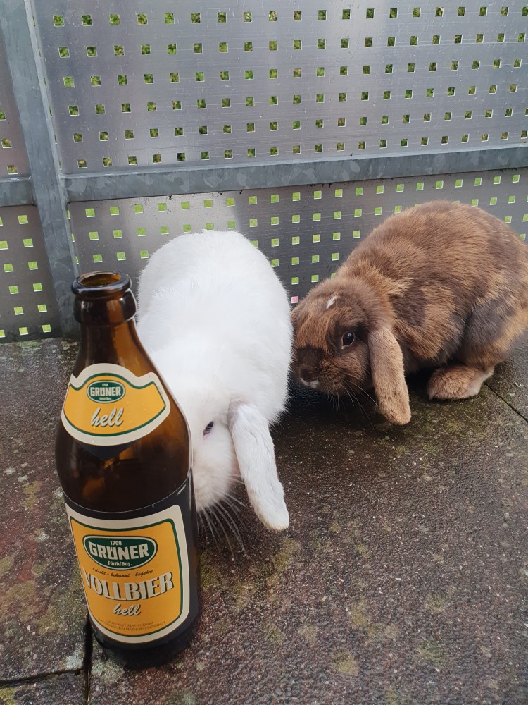 Grüner Vollbier